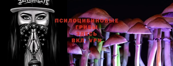 тгк Осинники